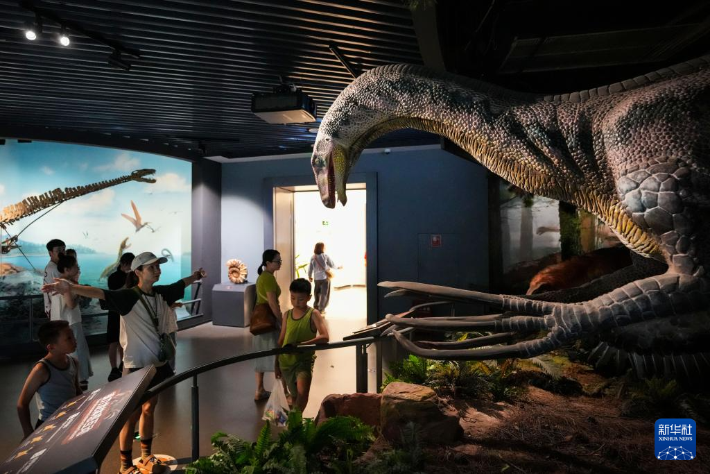 暑期探秘澄江化石地世界自然遗产博物馆