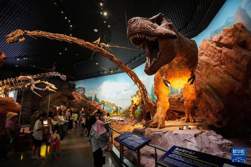 暑期探秘澄江化石地世界自然遗产博物馆