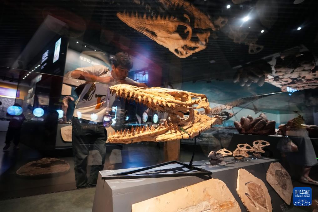 暑期探秘澄江化石地世界自然遗产博物馆