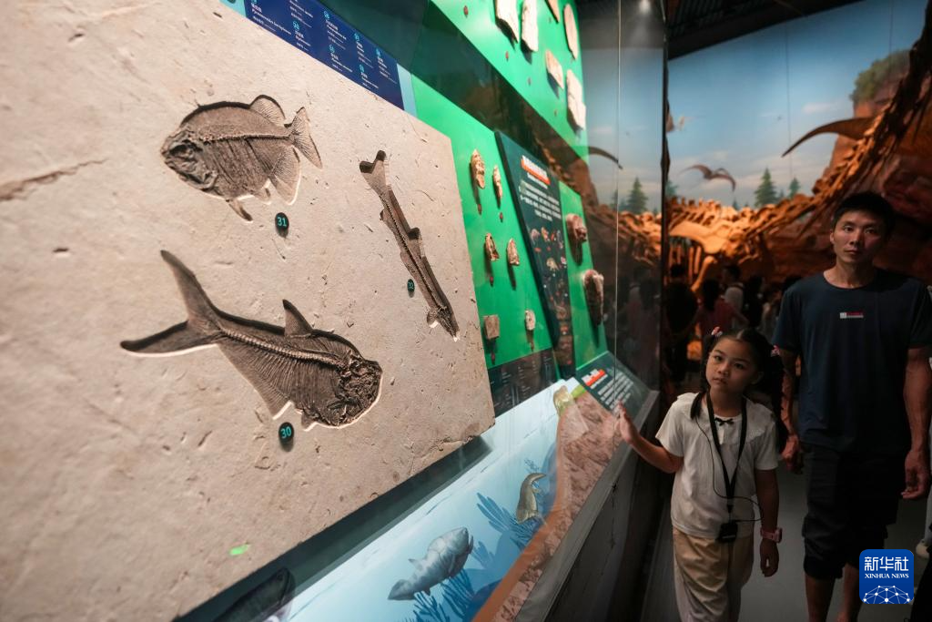 暑期探秘澄江化石地世界自然遗产博物馆