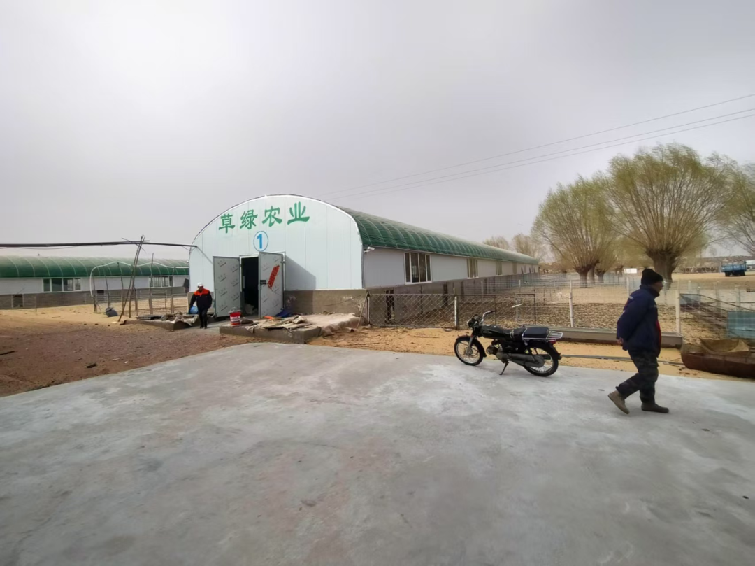 鄂托克旗：打好科学养殖“四张牌”走好乡村振兴“致富路”