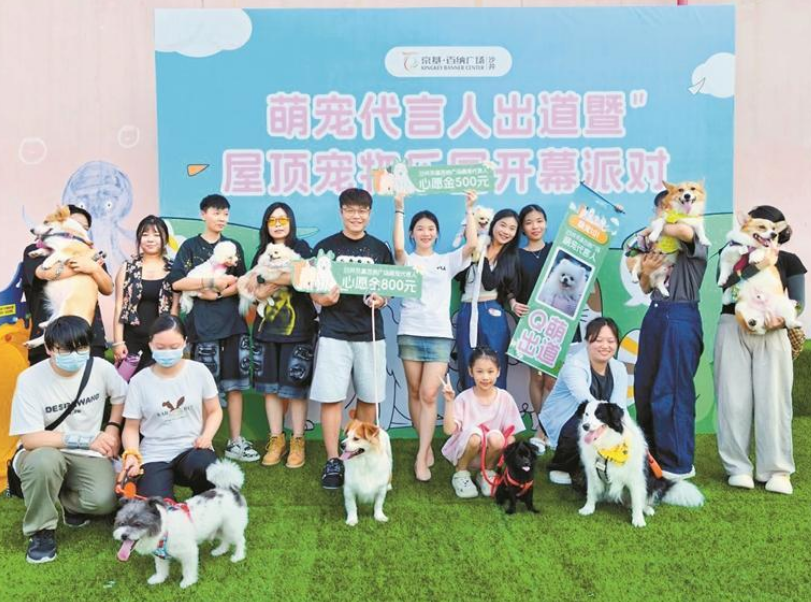 深圳宝安沙井近500㎡屋顶宠物乐园免费开放