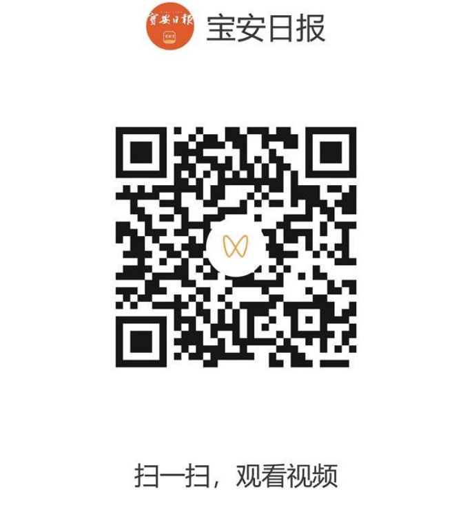 深圳宝安沙井近500㎡屋顶宠物乐园免费开放
