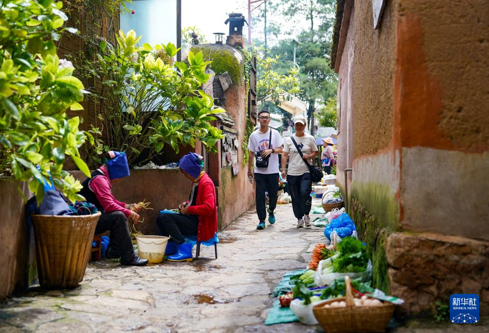 文化中国行·传统村落人文影像志｜乐居村：古村蝶变“乐居”地