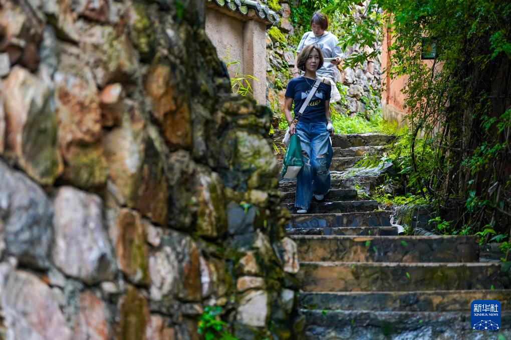 文化中国行·传统村落人文影像志｜乐居村：古村蝶变“乐居”地