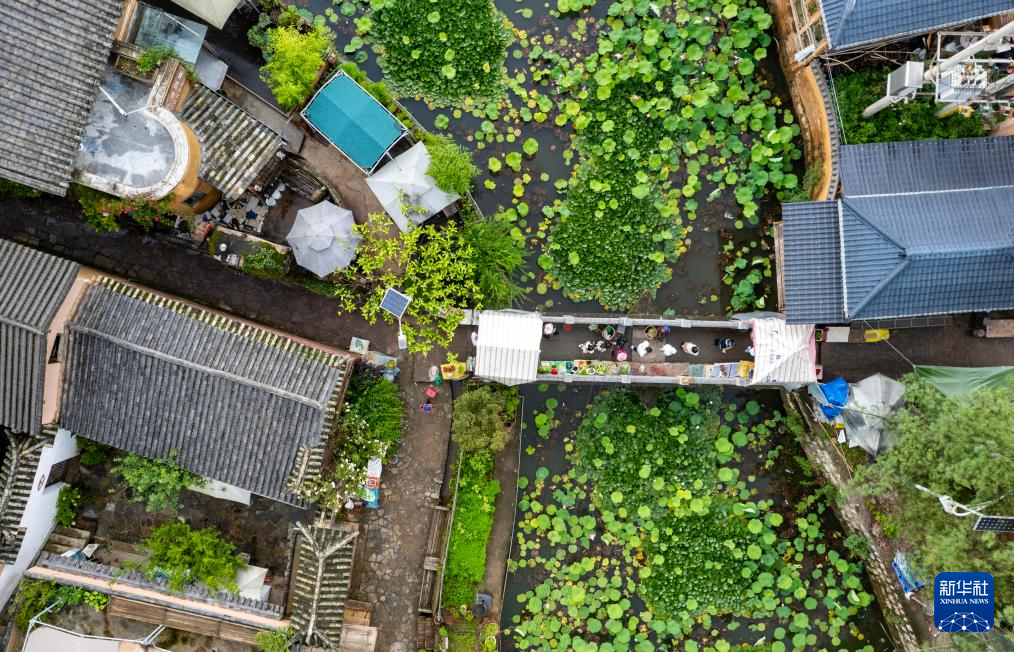 文化中国行·传统村落人文影像志｜乐居村：古村蝶变“乐居”地