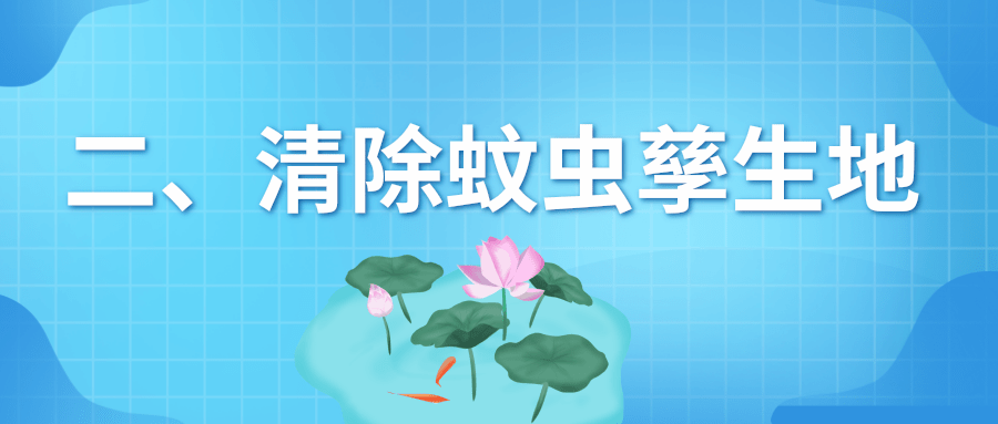速看!预防基孔肯雅热和登革热,从夏季防蚊开始 | 科普时间