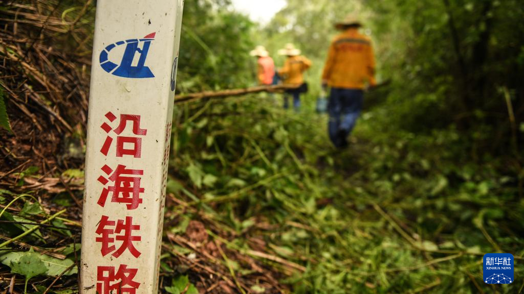 风雨后的“线路清障人”