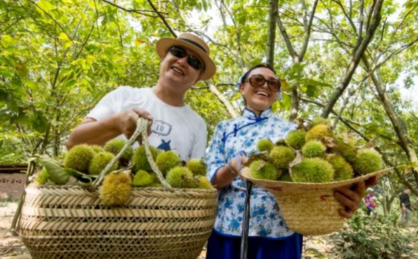 “镇”兴关键词⑥|重庆市南川区河图镇：集体经济化零为整 农旅融合点“绿”成金