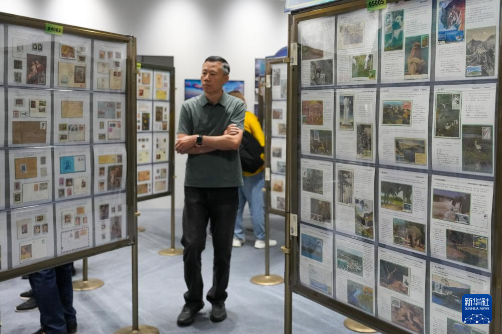 东北三省集邮展览在漠河举行