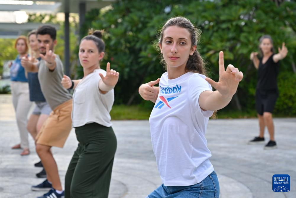 外国学员三亚学中医