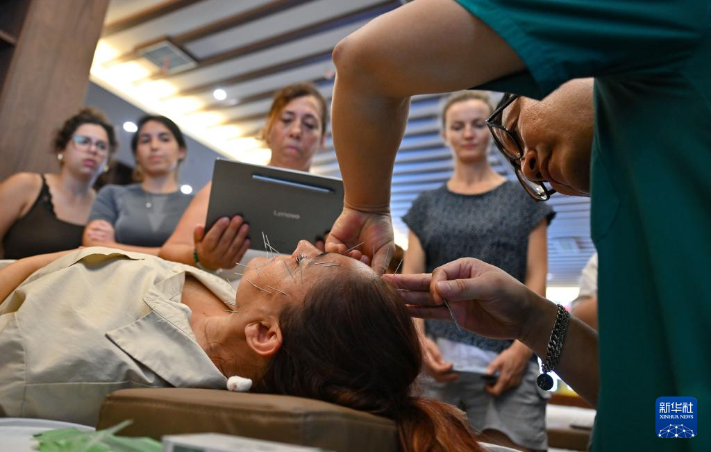 外国学员三亚学中医