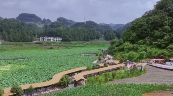 荷田铺锦绣 帮扶绘新篇