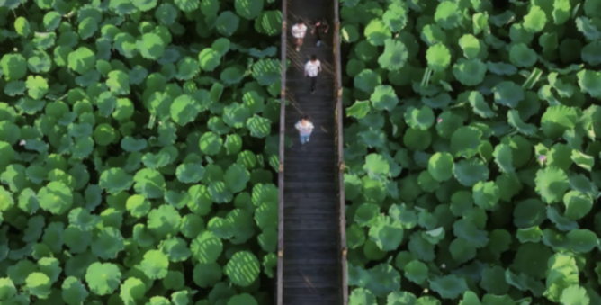 荷田铺锦绣 帮扶绘新篇