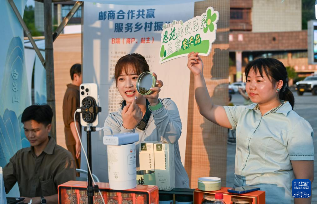 湖北来凤:藤茶富农兴产业
