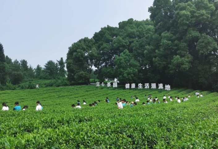 “镇”兴关键词⑦|重庆市巴南区二圣镇：筑巢引才，“四”带“二”打好振兴牌