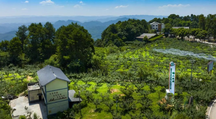 “镇”兴关键词⑦|重庆市巴南区二圣镇：筑巢引才，“四”带“二”打好振兴牌