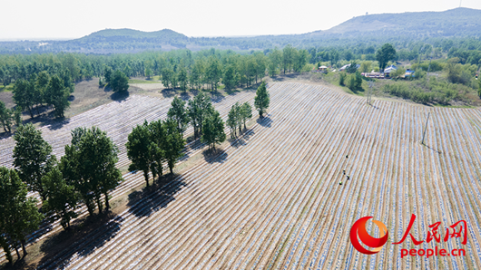 辽宁:绿水青山底色更亮,金山银山成色更足 辽宁:绿水青山底色更亮,金山银山成色更足