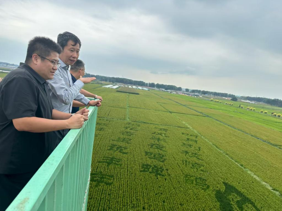 沈阳市辽中区:田间地头迎来高校“智囊团”