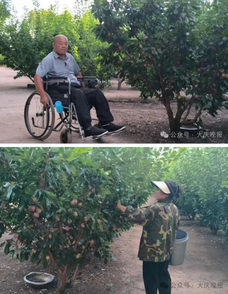 志愿服务聚合力 助农增收暖民心——大庆志愿者助销4500斤李子为残疾果农纾困解难