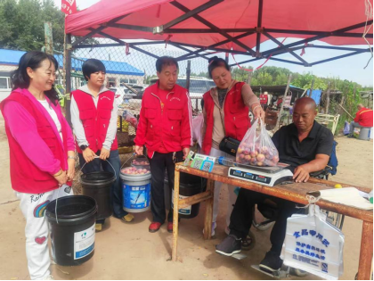 志愿服务聚合力 助农增收暖民心——大庆志愿者助销4500斤李子为残疾果农纾困解难