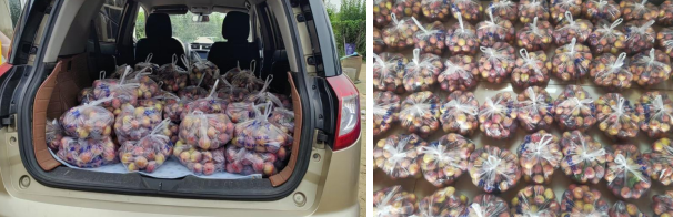 志愿服务聚合力 助农增收暖民心——大庆志愿者助销4500斤李子为残疾果农纾困解难