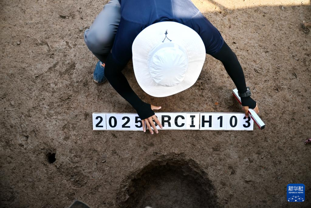 河北隆尧柏人城遗址第六次考古发掘工作持续进行