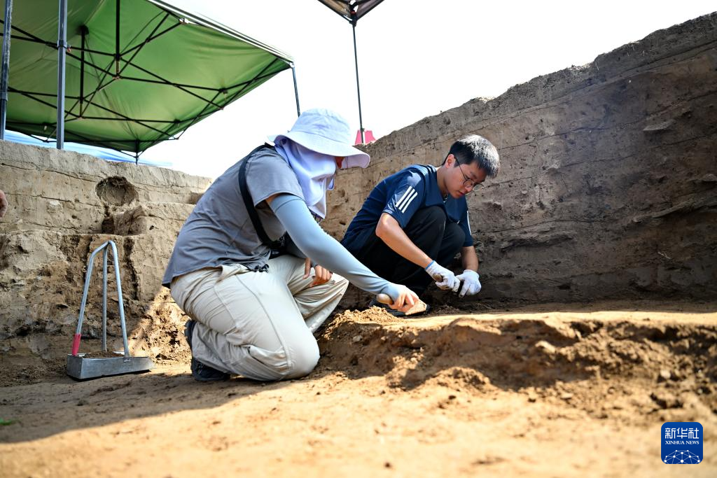 河北隆尧柏人城遗址第六次考古发掘工作持续进行