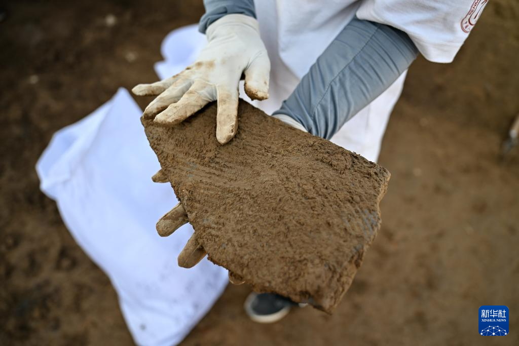 河北隆尧柏人城遗址第六次考古发掘工作持续进行