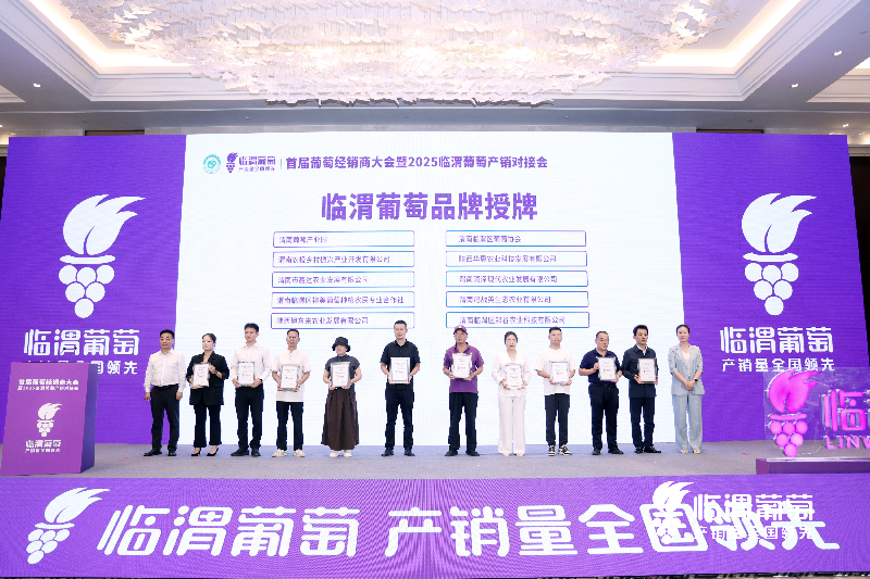 渭南市临渭区：一场葡萄盛会 焕发产业升级新活力