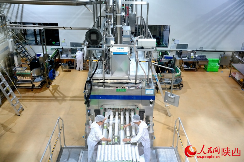 “‘陕’耀‘十四五’ 全景看三秦”融媒体调研采访团走进三原县