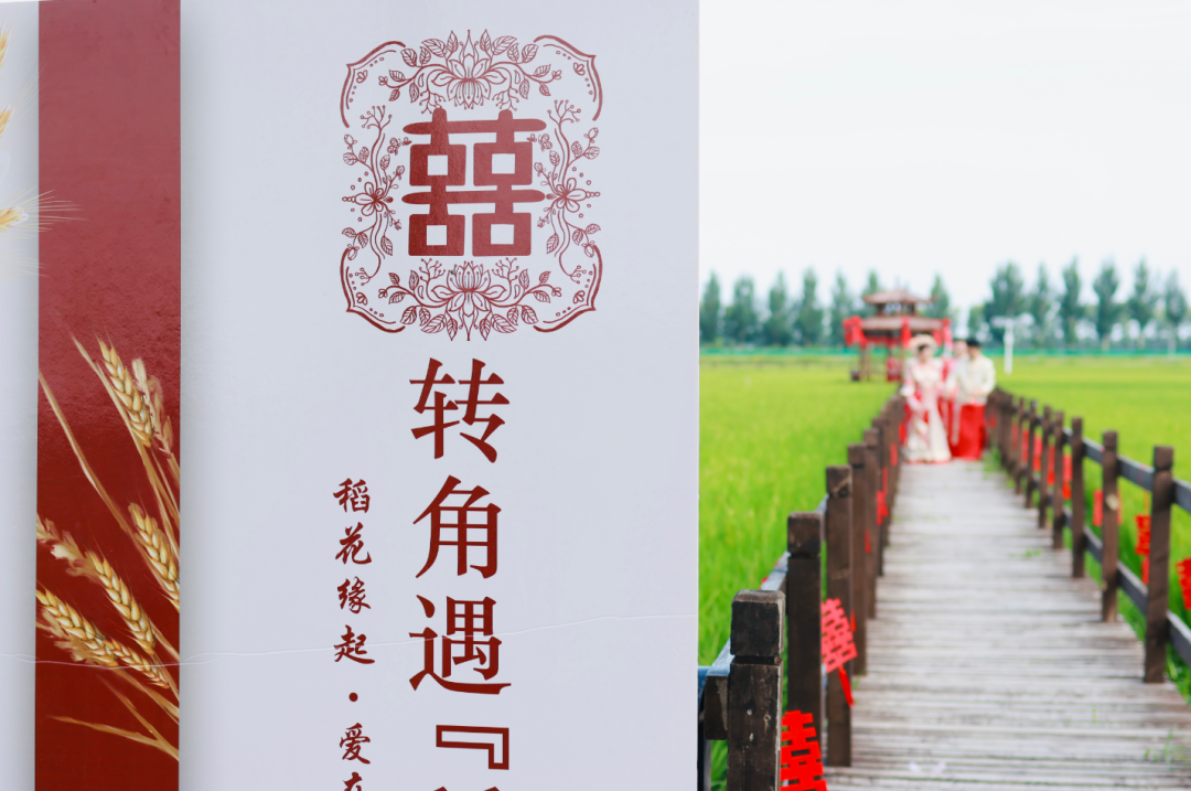 【岭上育新风】扎赉特旗：为爱减负 为幸福加分