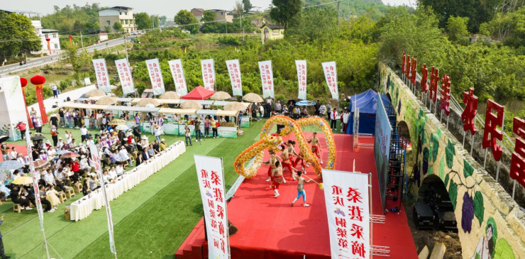 “镇”兴关键词|重庆市铜梁区大庙镇：工业领航 农业护驾 奏响“以产兴城”协奏曲