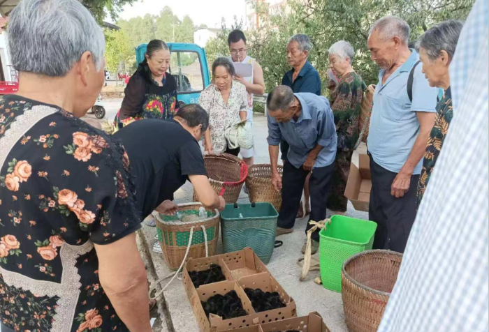 “镇”兴关键词|重庆市铜梁区大庙镇：工业领航 农业护驾 奏响“以产兴城”协奏曲