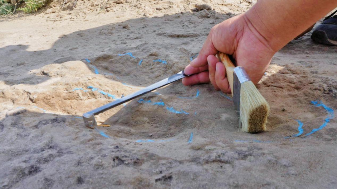 鄂托克旗藏“双最”!世界最快、中国最长恐龙行迹引专家组团研讨 鄂托克旗藏“双最”!世界最快、中国最长恐龙行迹引专家组团研讨