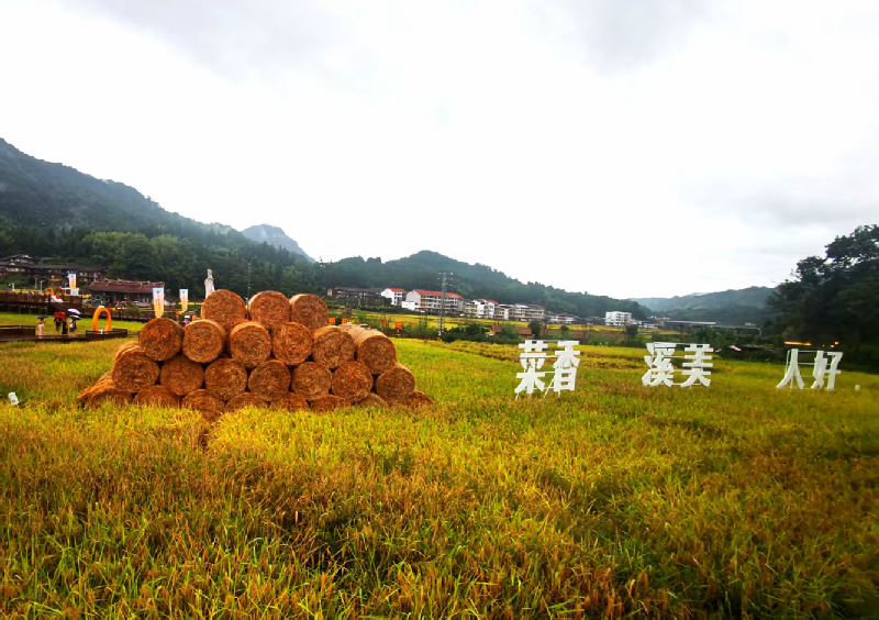福建省2025年中国农民丰收节主会场活动在莆田仙游举行