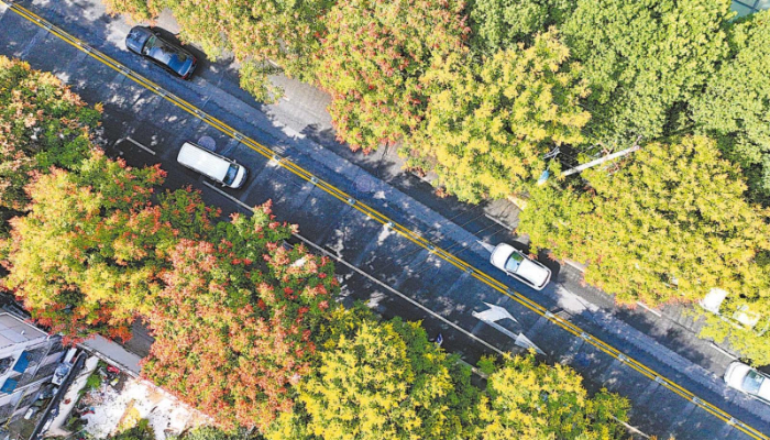 下足“绣花”功夫 改善人居环境