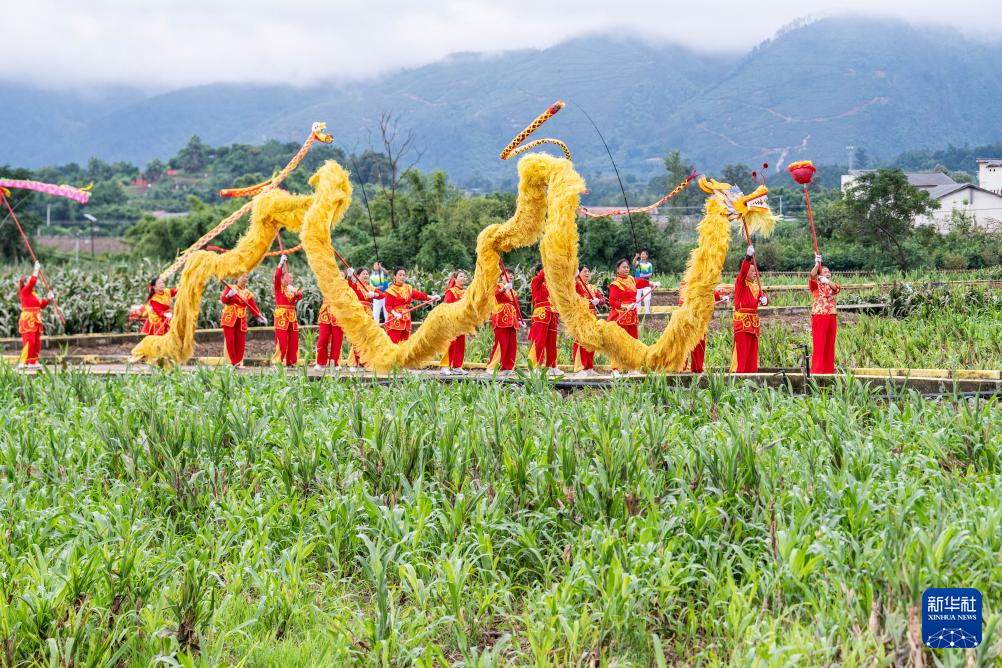 重庆璧山:农文旅融合绘就新农村画卷