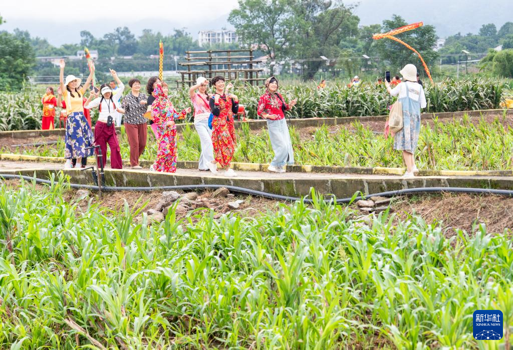 重庆璧山:农文旅融合绘就新农村画卷