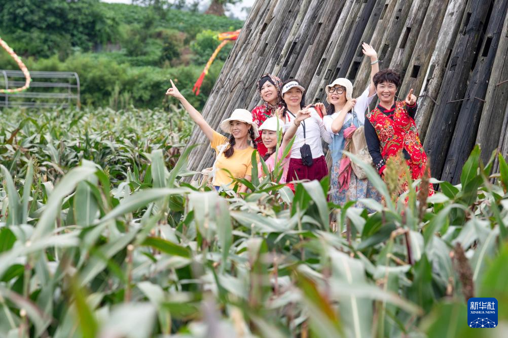 重庆璧山:农文旅融合绘就新农村画卷