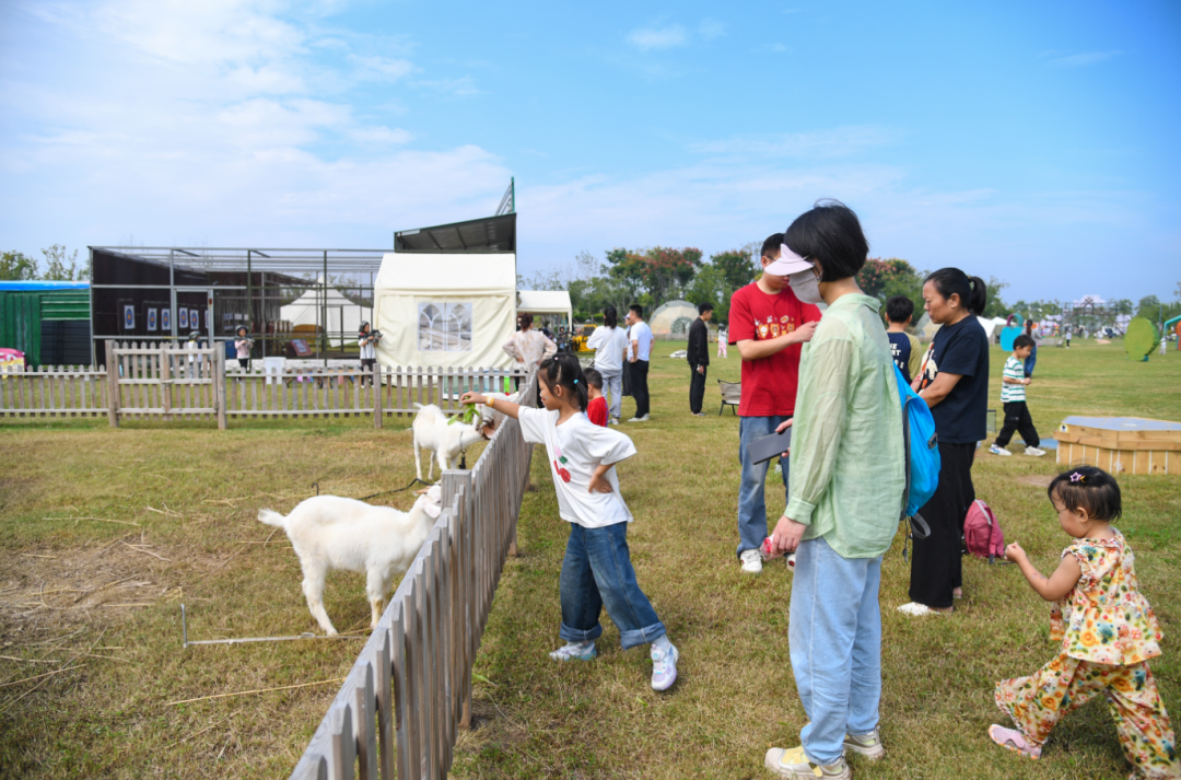 全城撒欢！火力全开！