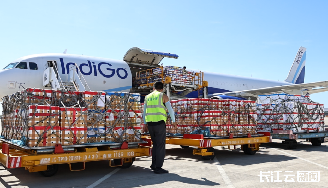 国际生鲜直达内陆餐桌 鄂州花湖机场丰富国庆中秋味蕾