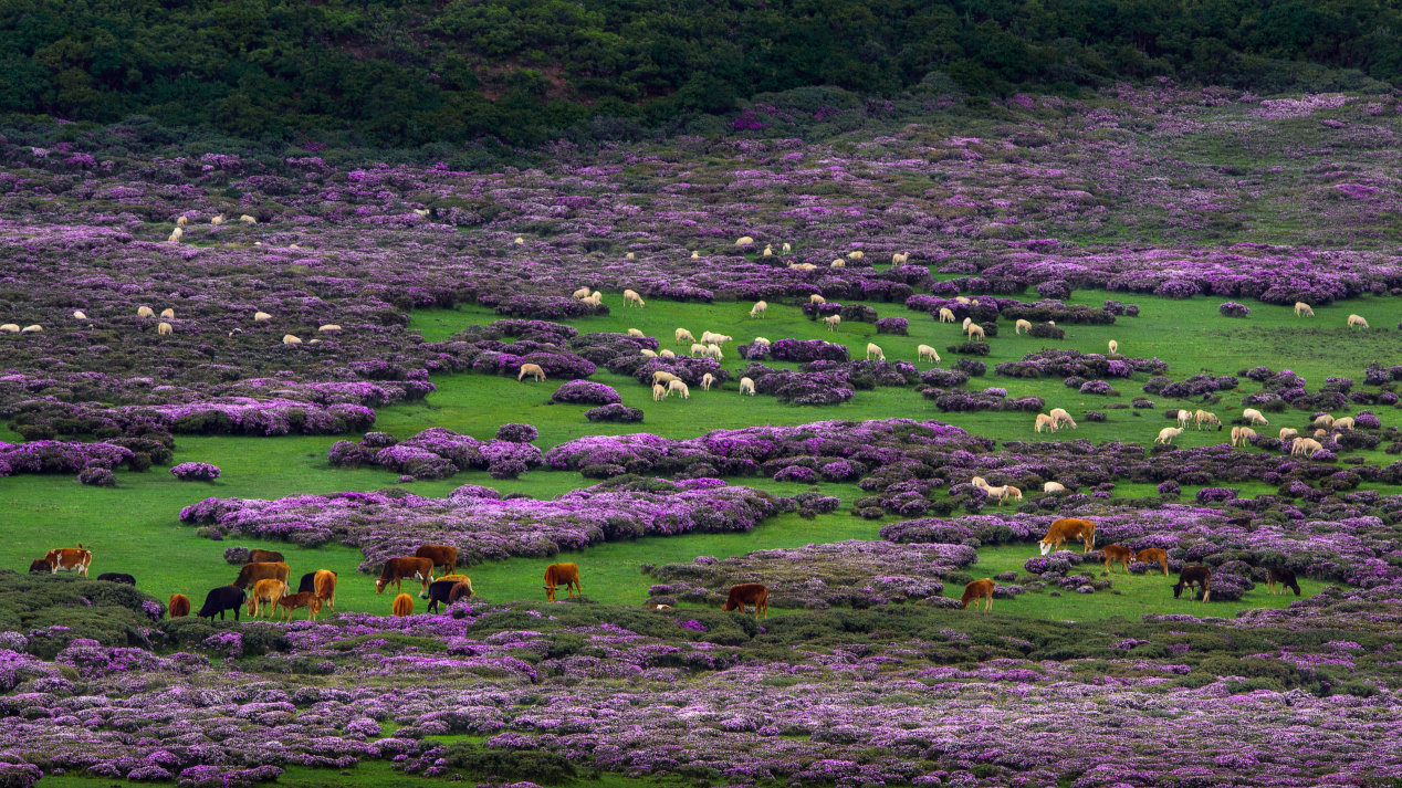 10月11日 一场跨越山海的惊喜之约 等待大家赴会