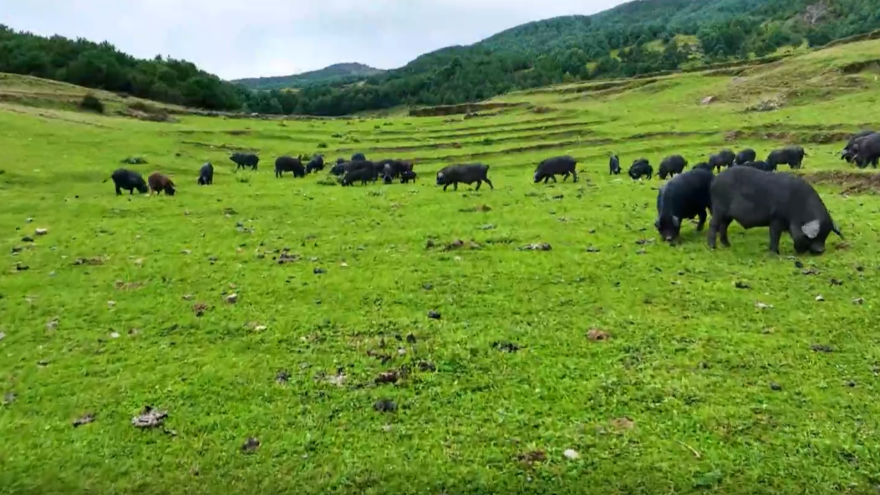 10月11日 一场跨越山海的惊喜之约 等待大家赴会