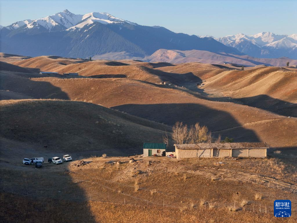 骏马与汽车同行：新疆牧区婚礼交响诗