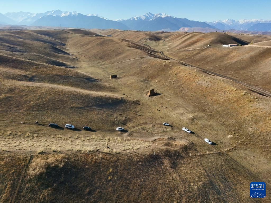 骏马与汽车同行：新疆牧区婚礼交响诗