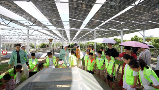 宁波镇海2025“绿色镇行动”研学活动圆满收官