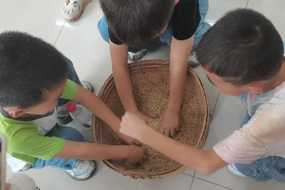 探秘粮库知农事，珍惜粮食我先行——句容市粮食集团组织开展世界粮食日主题亲子活动