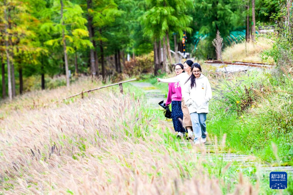 重庆石柱桥头镇:农文旅融合助力乡村振兴
