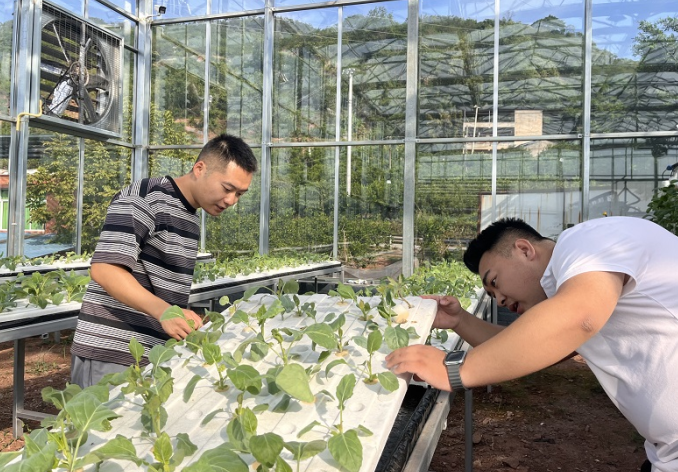 从乡村到国际T台，从课堂到广袤田野，重庆人文科技学院以应用型人才点燃乡村振兴“新引擎”